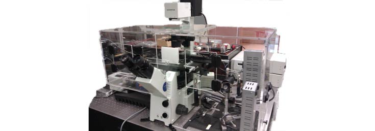 Olympus IX71 TIRF microscope with Digital Pixel envionmental chamber