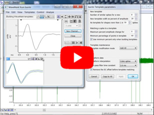 Parameter zum Erstellen von Spike-Templates