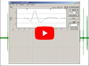 Setting threshold triggers for spike sorting