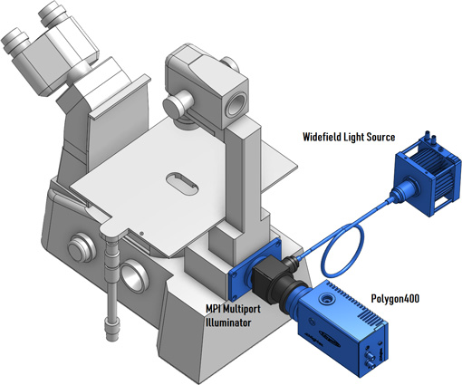 Mightex Multi-Port Illuminator with Polygon-400 attached to a Microscope